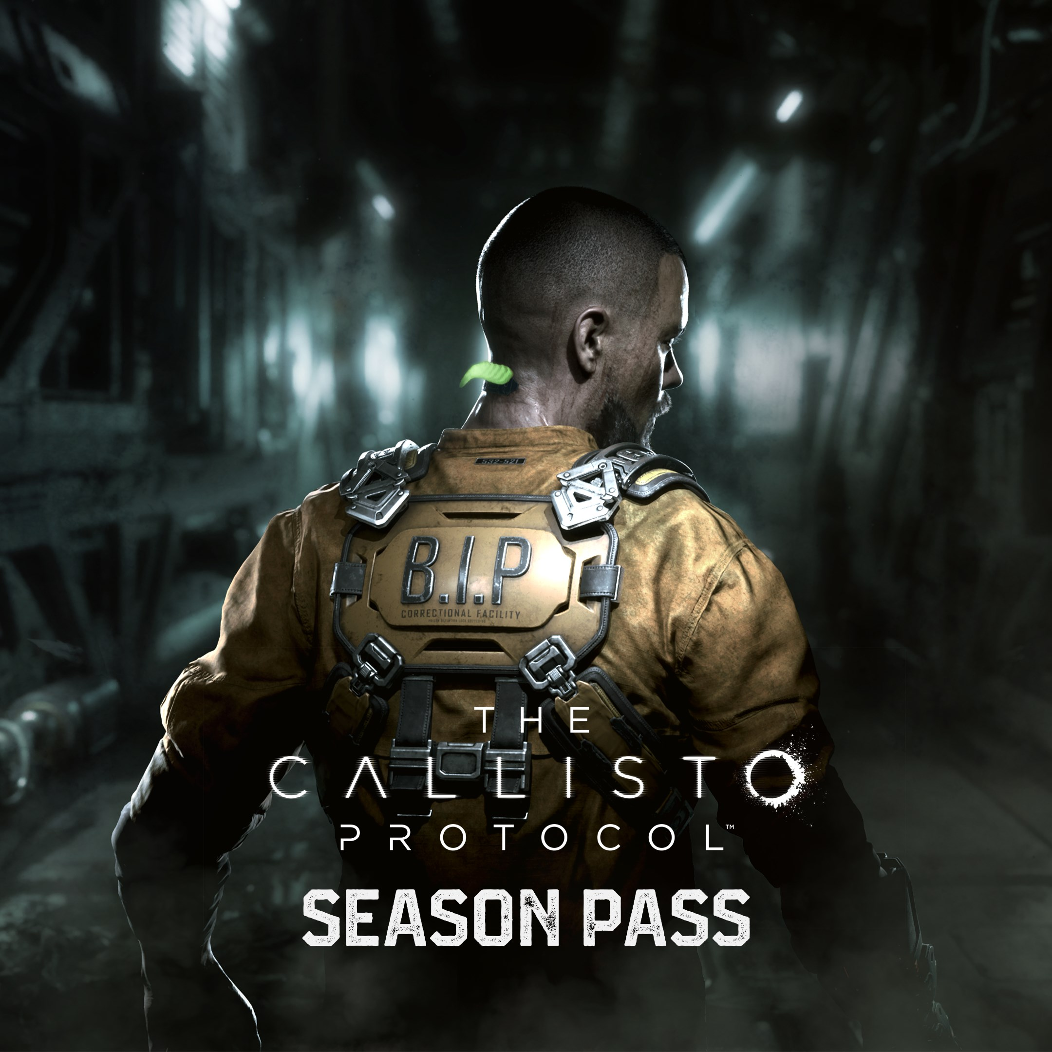 Callisto protocol steam key фото 4